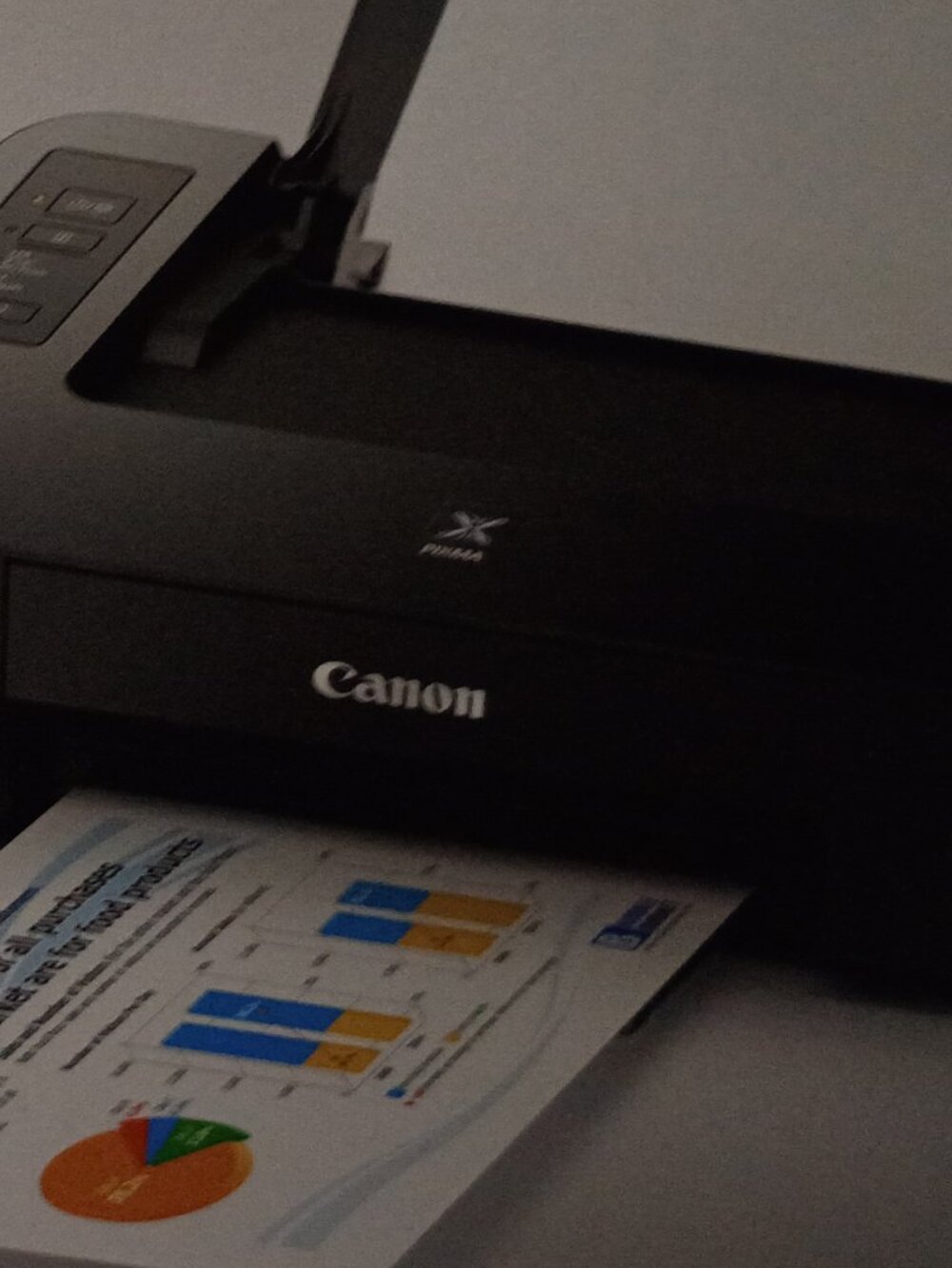 Canon PIXMA TS202 Printer (new/open box)